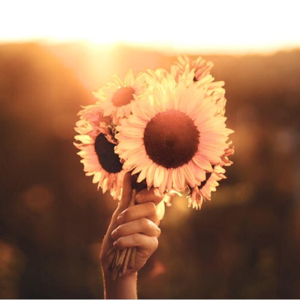 🌼 - Picture 2 of 6